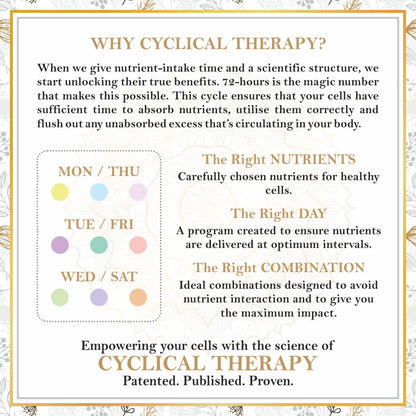 Ayurfact Shakti Umang