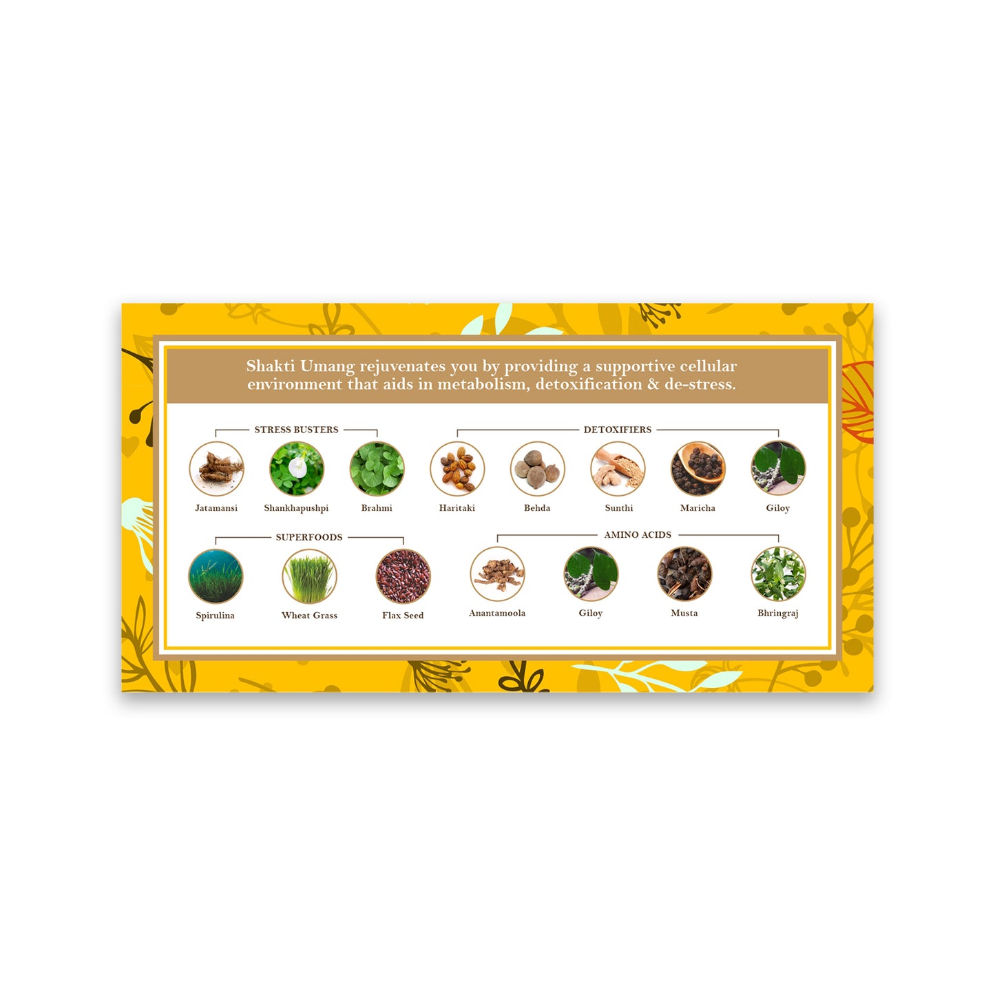 Ayurfact Shakti Umang