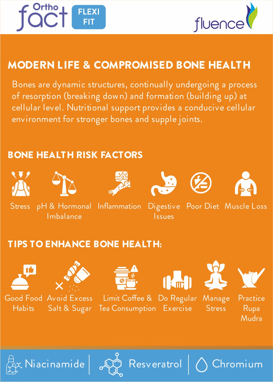 Daily Essentials - Orthofact Flexifit